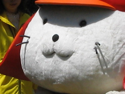 今日のひこにゃん②