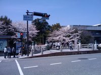 0410本日の・・・