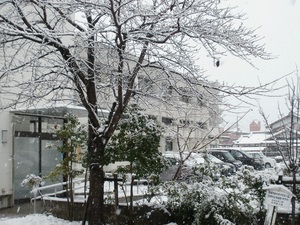 雪景色