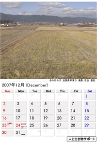 2007年12月