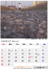 2008年3月
