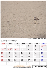 2008年5月