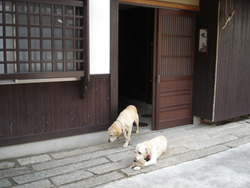 ひよこま本店　お片づけ開始