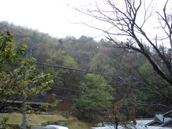 ケロローン　恵の雨です