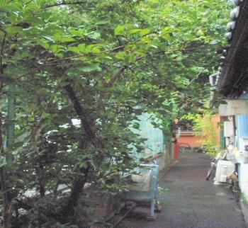 中崎町　老松町へ