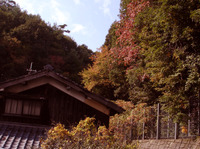 ひよどり小まもの商会　比叡平文化祭　出店します