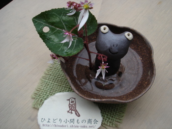 滋賀咲くの　プレゼントコーナー出てます。