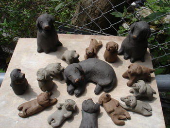 月とあそぶ展　アズキと１２匹の仔犬たち