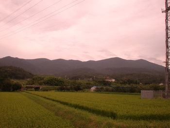 帰ってきました