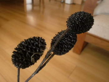 染めもの奮闘記６