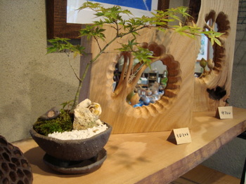 水無月展　火曜日