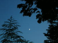 ＤＩＡＭＯＮＤ ＭＯＯＮ
