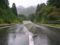 苦い雨