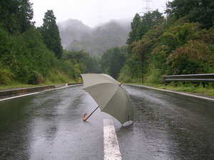 苦い雨