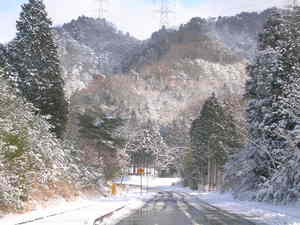 雪の「楽市」