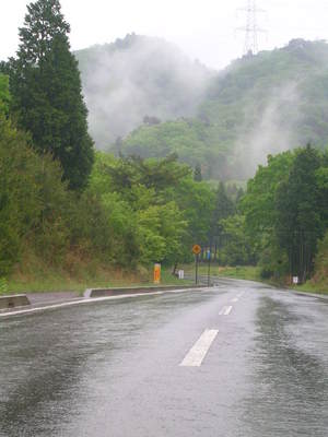 冷たい雨だった
