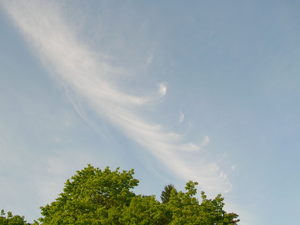 見上げてごらん