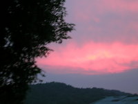 紅紫の空