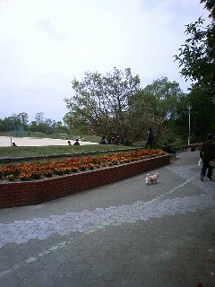 今日は休館日です