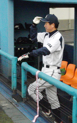 球春。町春。