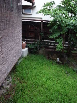 秋、雨、虫の音