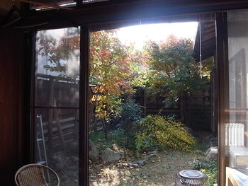 毎年の紅葉