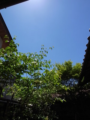 雨上がり