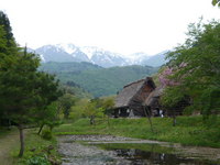 白川郷
