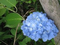 もう、7月1日！！