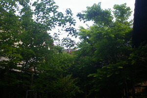空が狭くなってきた！