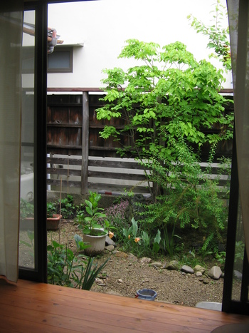 雨上がりの中庭