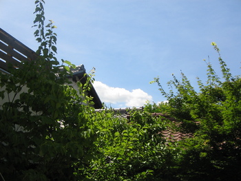 雲・・・・