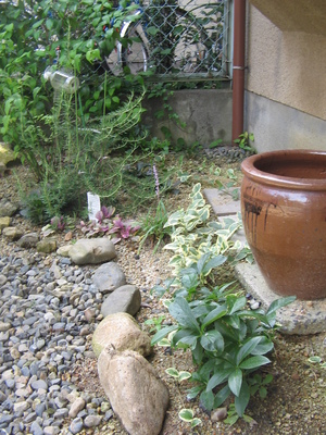北側の庭