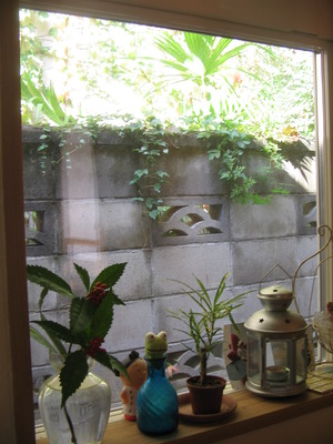 秋・・深まってきた！