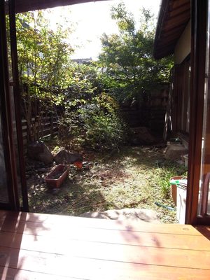ひだまり・・・。