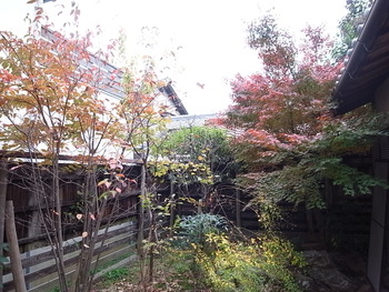 もみじの紅葉