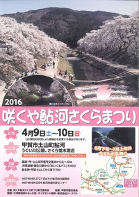 ■咲くや鮎河さくらまつり