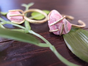 フロストガラスの薔薇