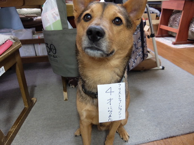 クリ、４歳に
