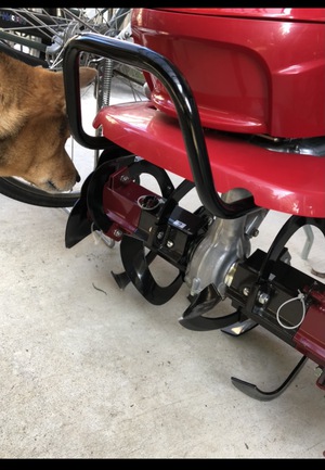ワタシニモコウウンヲ