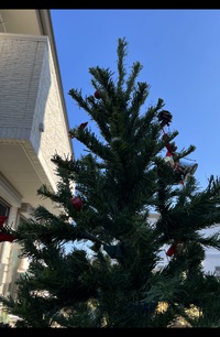 クリスマスおじツリー