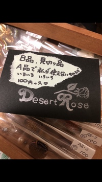 小さい小さい小さい小さいぱーつやさんごっこ