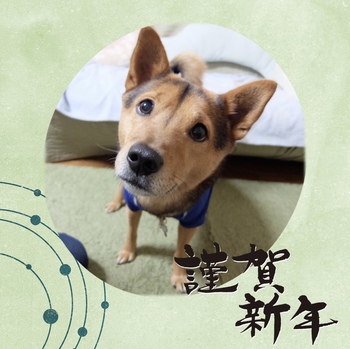 何するお正月