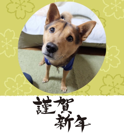 おめでとおめでと