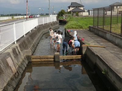 水生生物観察会