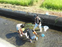 水生生物観察会