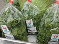 野菜市