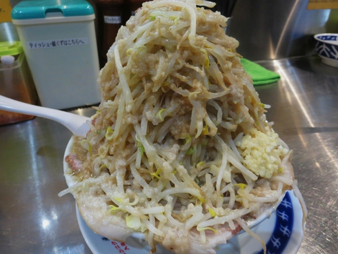 醤油らーめん 野菜・脂増しニンニクあり【らーめん 大】@京都市伏見区深草野田町