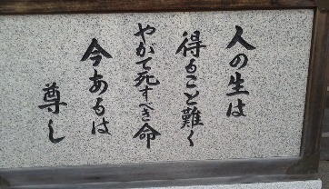 海住山寺[今あるは 尊し]