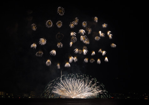 2016琵琶湖花火大会矢橋帰帆島公園より